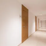 Ajdovec